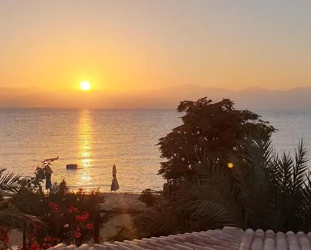 Nakhil Nuweiba`