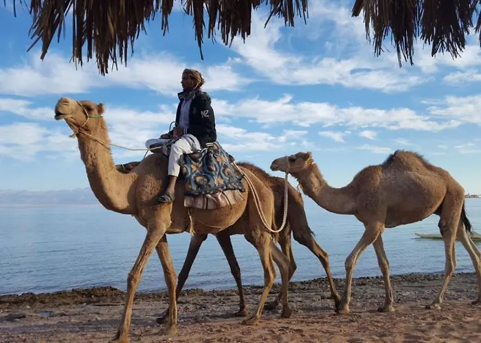 Nakhil Gasthof Nuweiba`